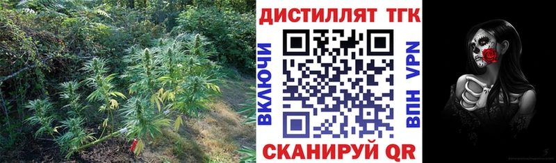 ТГК гашишное масло  продажа наркотиков  Борисоглебск 