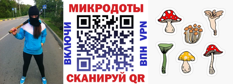 Псилоцибиновые грибы мицелий  закладка  Борисоглебск 