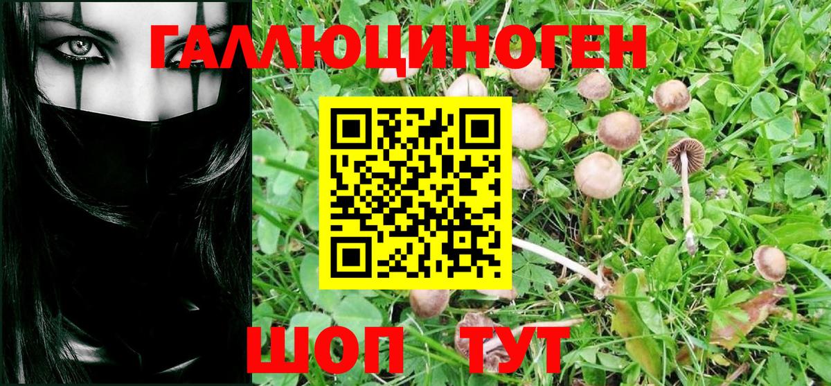 Галлюциногенные грибы Psilocybe  Псилоцибиновые грибы Psilocybe  Борисоглебск  купить  цена  Вход с VPN 