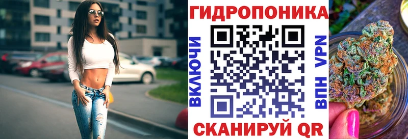 Бошки Шишки индика  даркнет сайт  Борисоглебск 